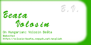beata volosin business card
